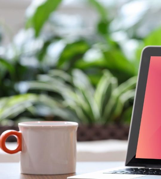 AI Security Is an Education-First Market